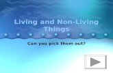 Living nonliving quiz