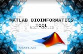 Matlab bioinformatics presentation