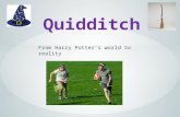 Quidditch basics