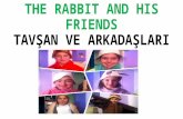 The rabbit and his friends