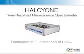 HALCYONE (CCD). Femtosecond Fluorescence of DHAQ.