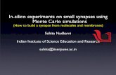 How to Build a Synapse from Molecules & Membranes (Suhita Nadkarni)