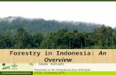 Forestry in Indonesia: An Overview