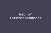 Web of Interconnectedness