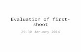 Evaluation of first shoot