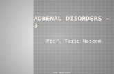 Adrenal disorders   3