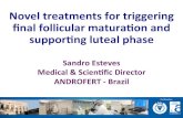 Novel treatments to trigger final follicular maturation and luteal phase support