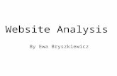 Website analysis  -macklemore-