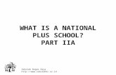 What Is A National Plus School Iia