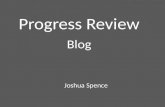 Progress review