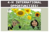 WI 4-H International Programs - General Information