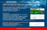 Petrochemistry modeling with the ADF suite