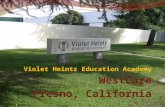 Violet heintz education academy