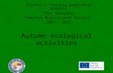 Ecological activities-1
