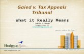 The Quintessential PowerPoint on NY's 2014 Gaied Case!