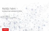 Netherlands Tech Tour 02 -   MySQL Fabric
