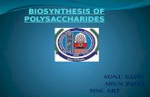 biosynthesis of polysaccharides