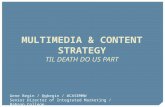 Multimedia and Content Strategy