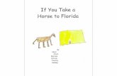 If you Take a Horse to Florida