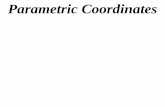 11X1 T12 03 parametric coordinates (2011)