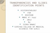 Transparencies and slides identification points