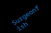 Surgeonfish & Triggerfish Slideshow