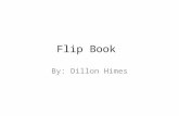 Transcription and translation flip book by dillon himes