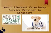 Mount Pleasant Veterinary Service Provider in Singapore