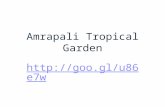 Welcome To Amarapali Tropical Garden