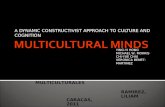 Multicultural minds vrs 1.03