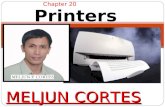MELJUN CORTES Computer Organization lecture chapter20 printers