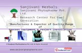 Amla Processing Unit by Sanjivani Phythopharma Pvt. Ltd Navi Mumbai