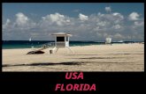 USA - Florida 2