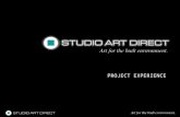 Studio Art Direct Project Experience 2013