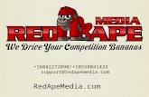 Red Ape Media Website Audit PowerPoint