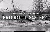 Natural disaster?