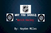 Why You Should Watch Hockey