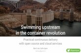 Software Development 2020 - Swimming upstream in the container revolution