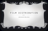 Film distribution in Media Studies