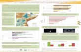 Indigenous Knowledge for Seasonal Weather and Climate Forecasting across East Africa