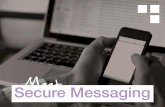 Meet Secure Messaging
