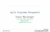 Workshop B, Agile P3M benefits, by Steve Messenger
