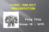 Final project presentation week 12