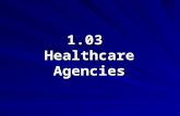 1.03 healthcare agencies