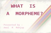 What is morpheme  amal mahjup