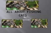 Fishing Cat