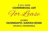 PRIME COMMERCIAL PROPERTY IN PAMPANGA FOR LEASE