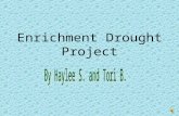 Haylee & Tori Drought Project
