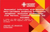 Nosocomial infections with metallo-beta-lactamaseproducing Pseudomonas aeruginosa: molecular epidemiology, risk factors, clinical features and outcomes