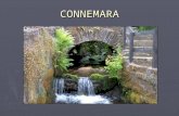 2024 - Connemara